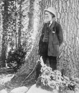 Photo of naturalist John Muir, c. 1900
