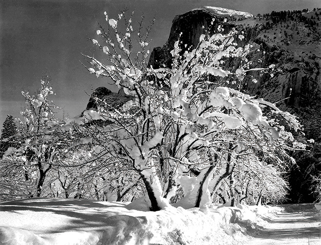 Photo of Yosemite National Park taken by Ansel Adams for the US National Park Service, 1941-42.