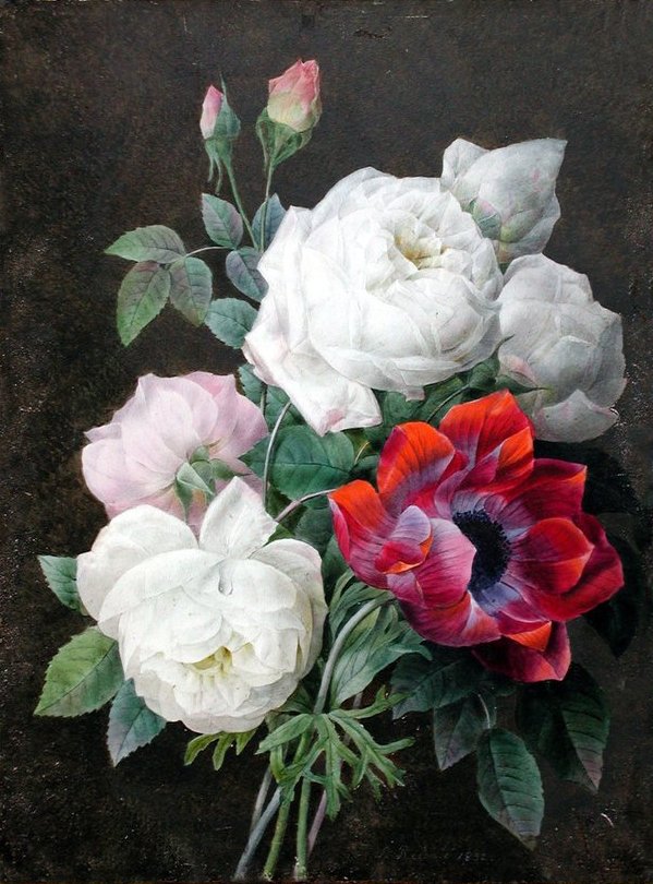 Pierre-Joseph Redouté, Illustrator of Beauty - Asgard Press