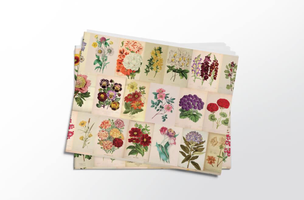 Stack of folded vintage botanicals gift wrap sheets from Asgard Press