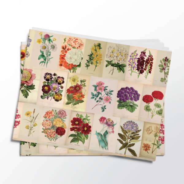 Stack of folded vintage botanicals gift wrap sheets from Asgard Press