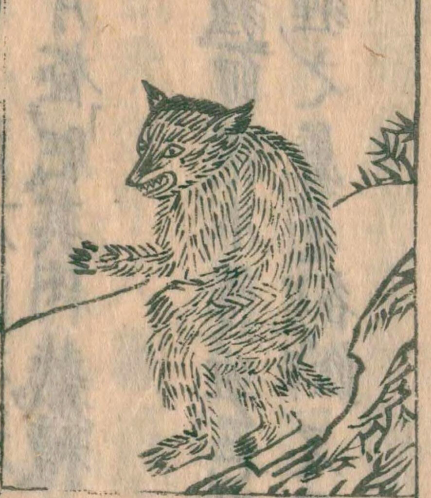 Tanuki Wakan Sansai Zue; Japanese woodblock print of a tanuki yōkai.