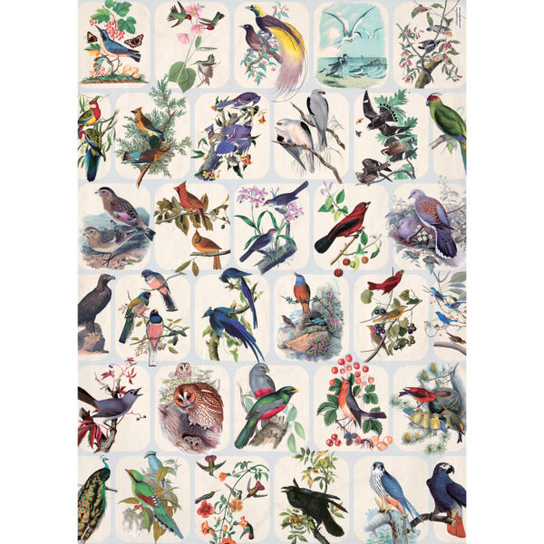 Asgard Press Vintage Birds 20x28 folded gift wrap sheet