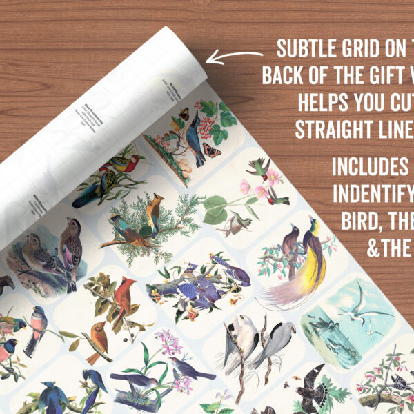 Asgard Press Vintage Birds 20x28 folded gift wrap sheet
