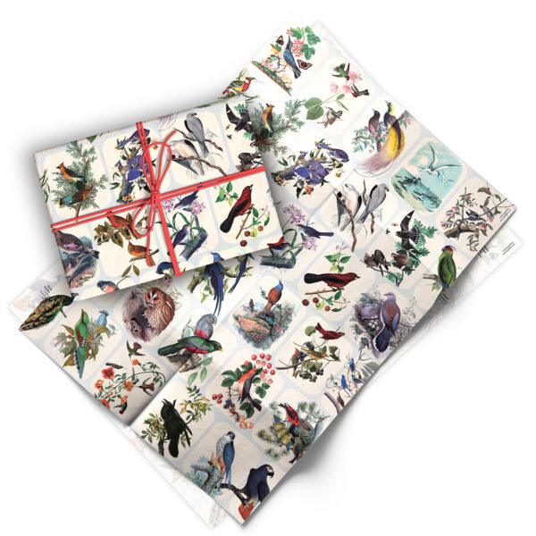 Asgard Press Vintage Birds 20x28 folded gift wrap sheet
