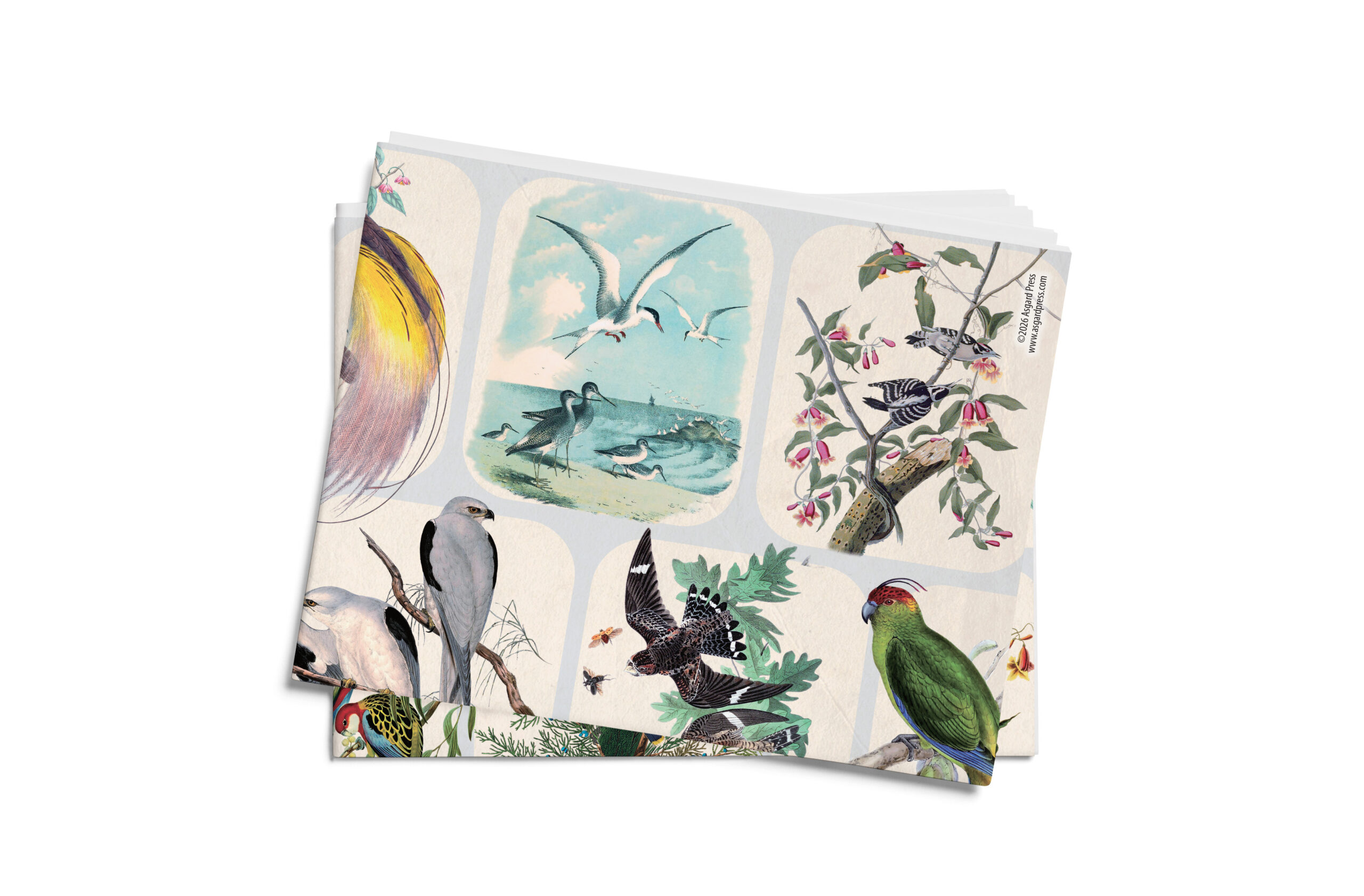 Vintage Birds 20"x28" Folded Gift Wrap Sheet - Image 3