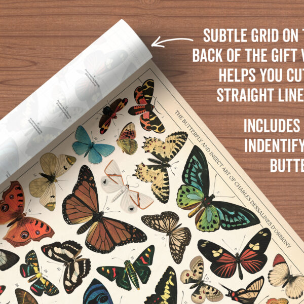 Asgard Press Vintage Butterflies 20x28 folded gift wrap sheet