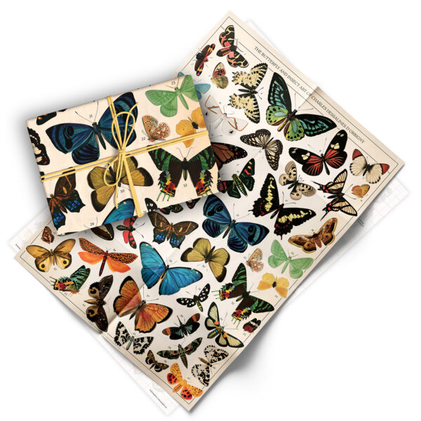 Asgard Press Vintage Butterflies 20x28 folded gift wrap sheet