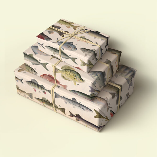 Asgard Press Vintage Fish 20x28 folded gift wrap sheet