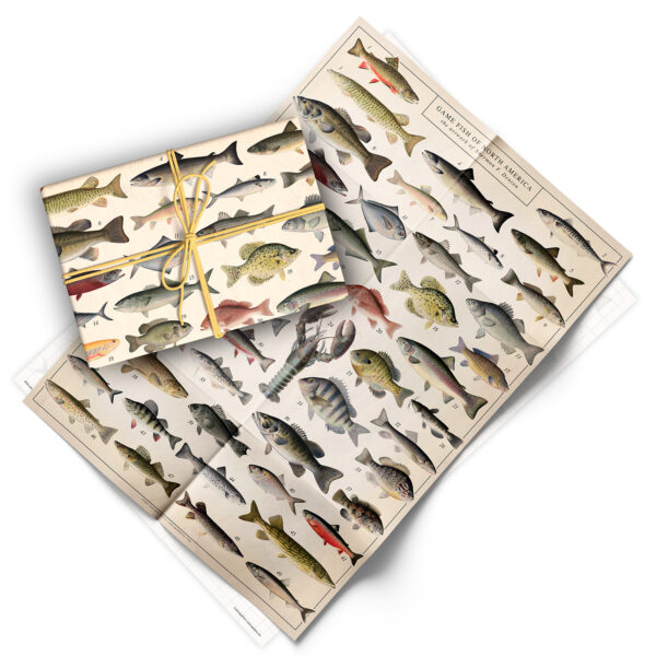 Asgard Press Vintage Fish 20x28 folded gift wrap sheet