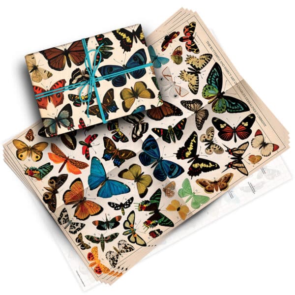 Vintage Butterflies Pack of 4 Folded Gift Wrap Sheets