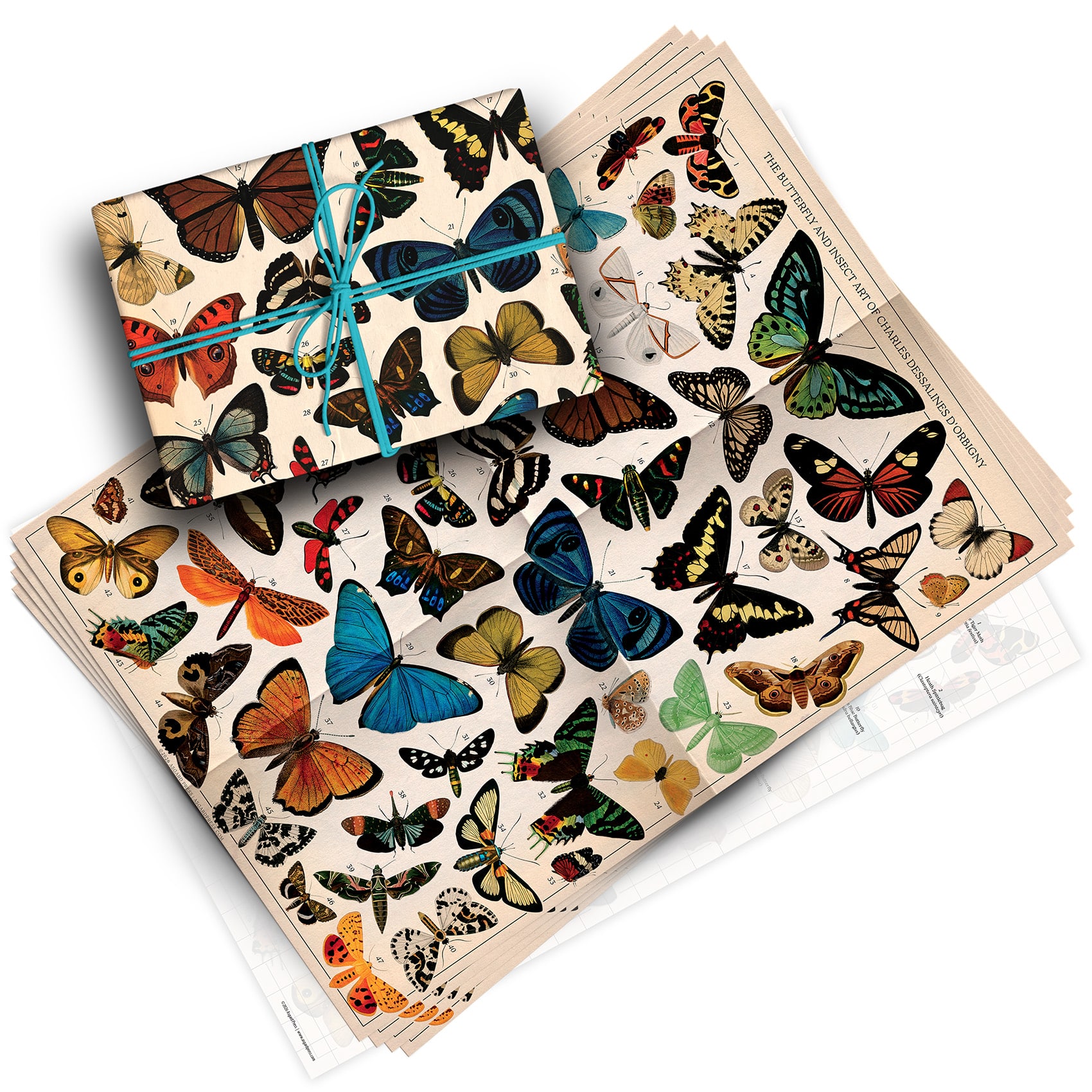 Vintage Butterflies Pack of 4 Folded Gift Wrap Sheets