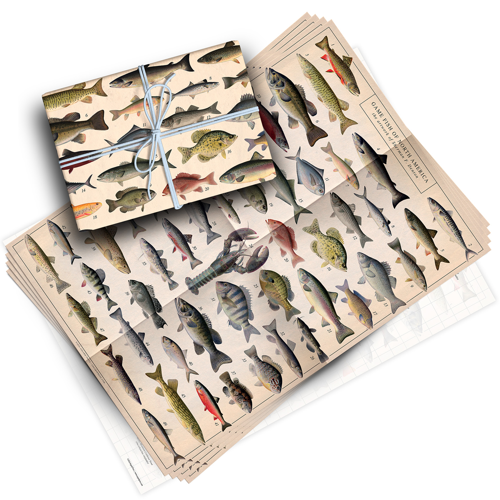 Vintage Fish Pack of 4 Folded Gift Wrap Sheets