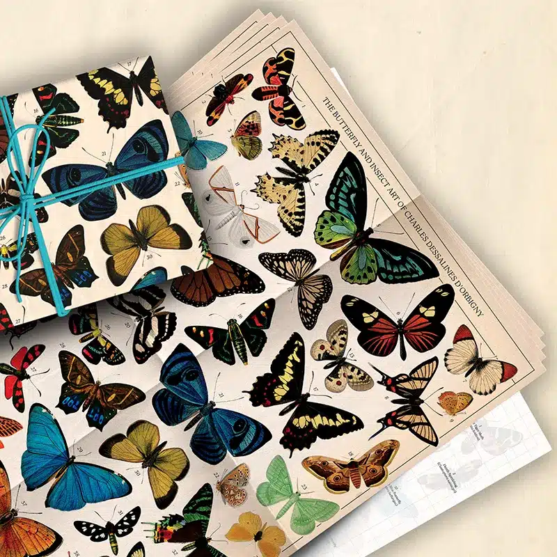 Vintage art gift wrap from Asgard Press