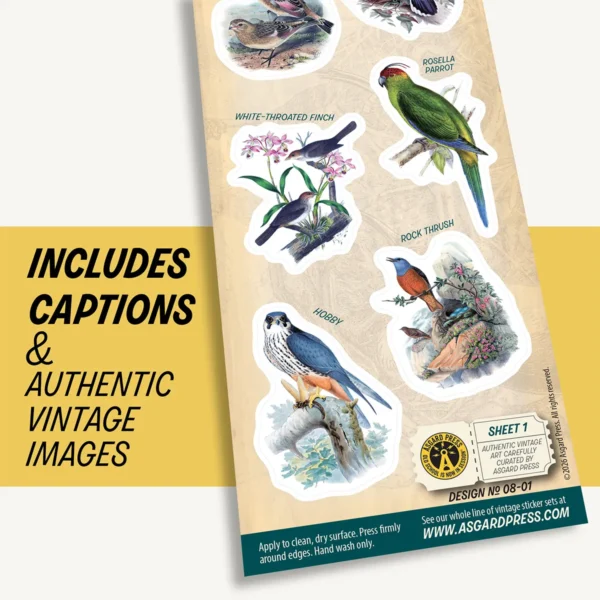 Graphic showing artwork of Vintage Birds sticker sheet and included captions