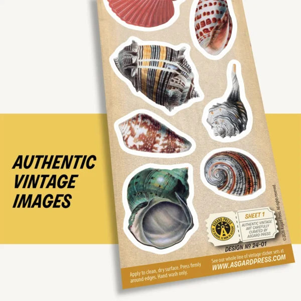 Graphic showing authentic vintage artwork of Vintage Sea Shells sticker sheet